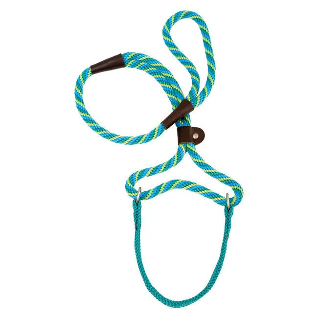 Seafoam Mendota Big Dog Walker Martingale Lead 1/2 x 6ft